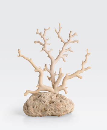 Bonhams : An assembled white coral branch group