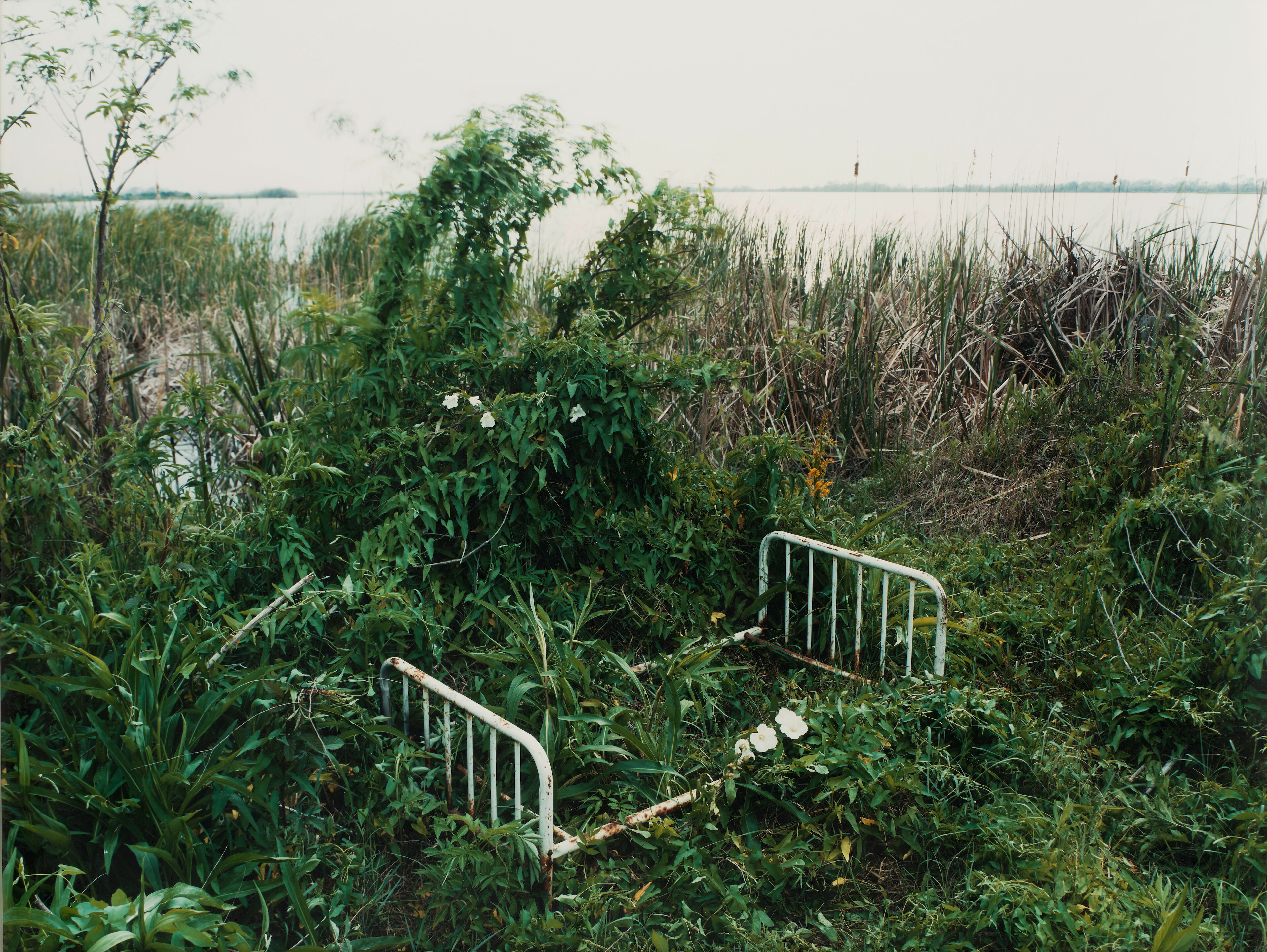 Bonhams : Alec Soth (born 1969); Venice, Louisiana (from 