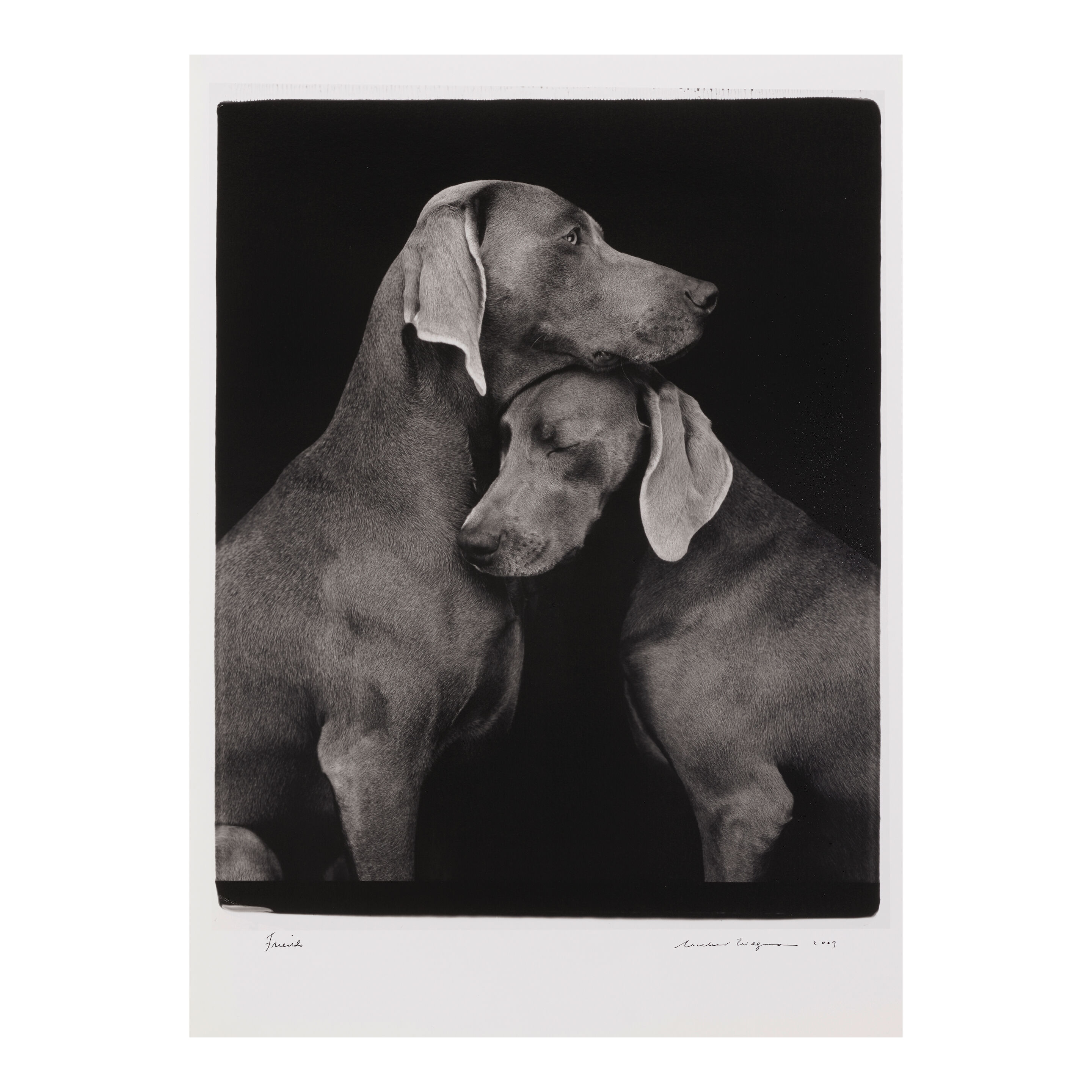 Bonhams : William Wegman (born 1943); Friends;